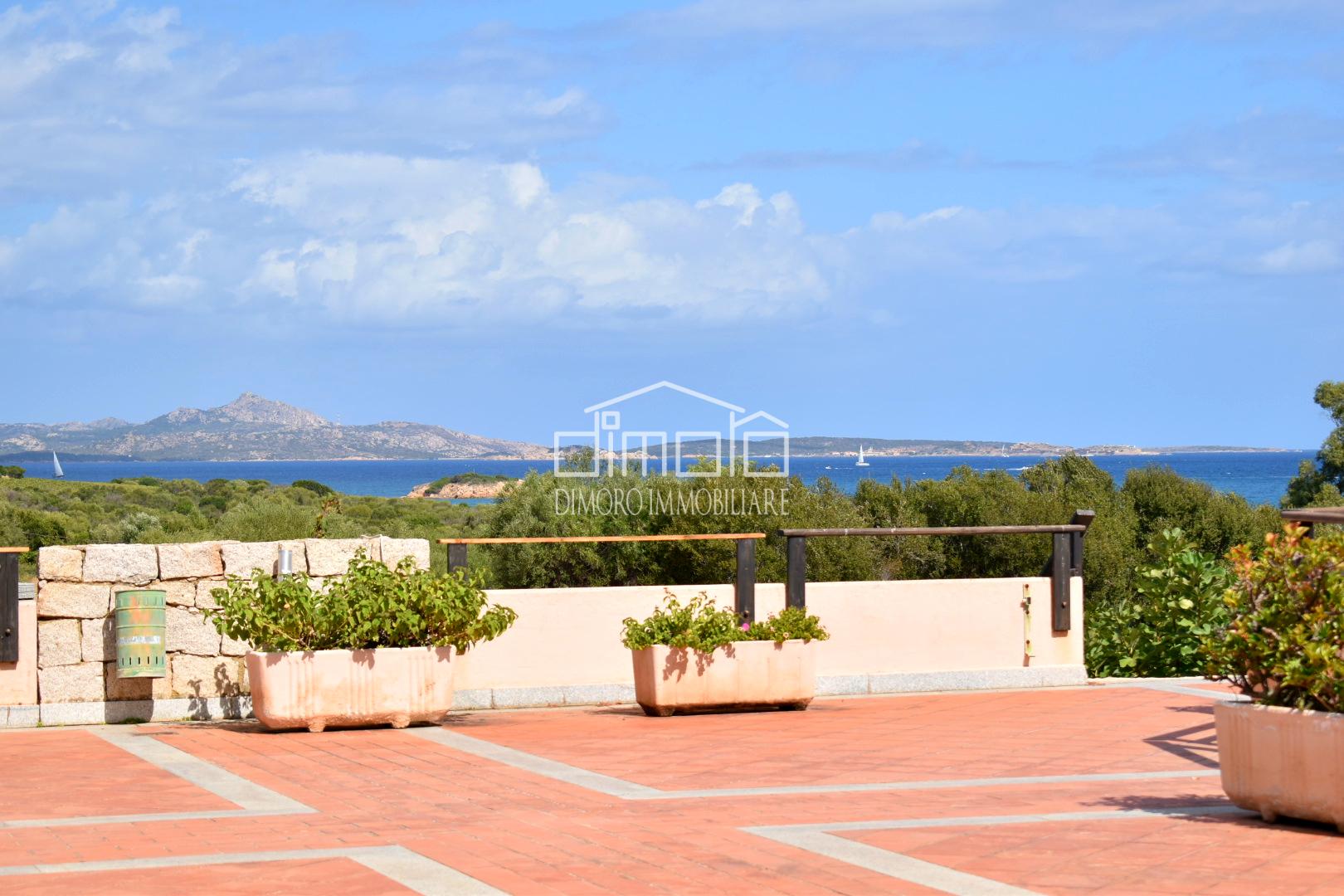 agenzia immobiliare olbia